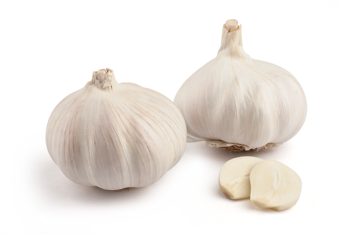 White garlic