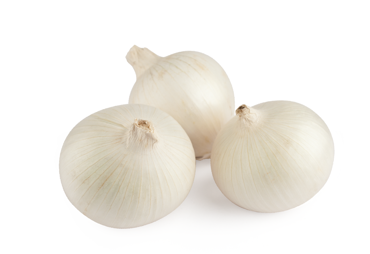 White onion